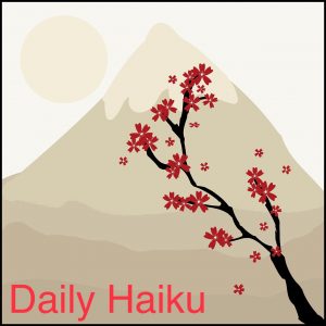 Daily Haiku