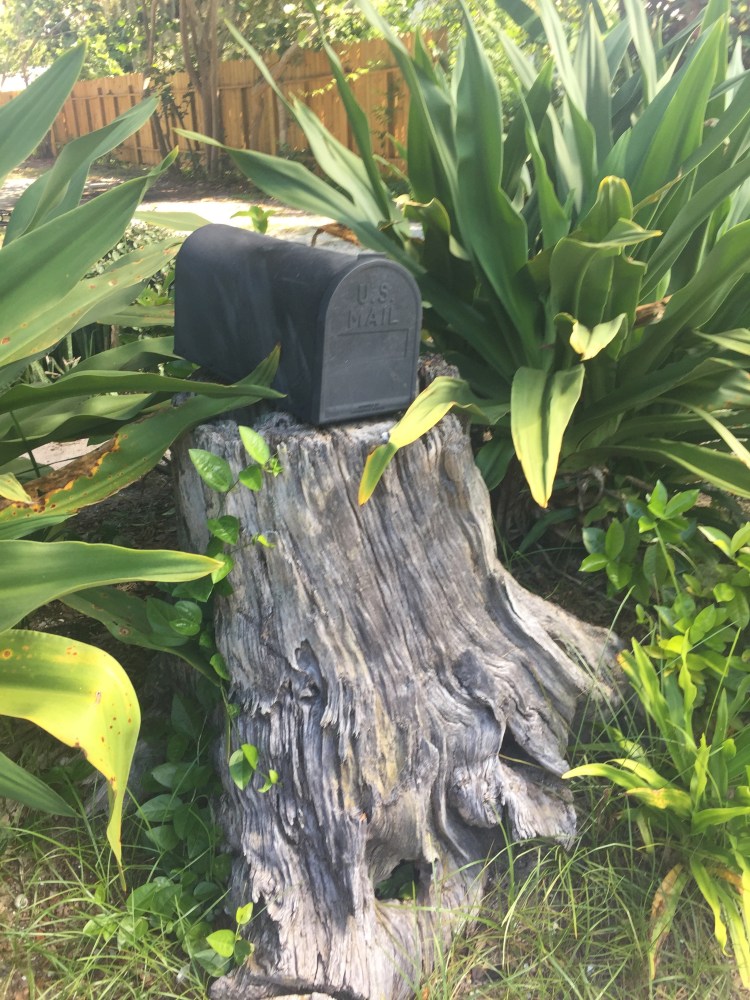 Mailbox on tree stump