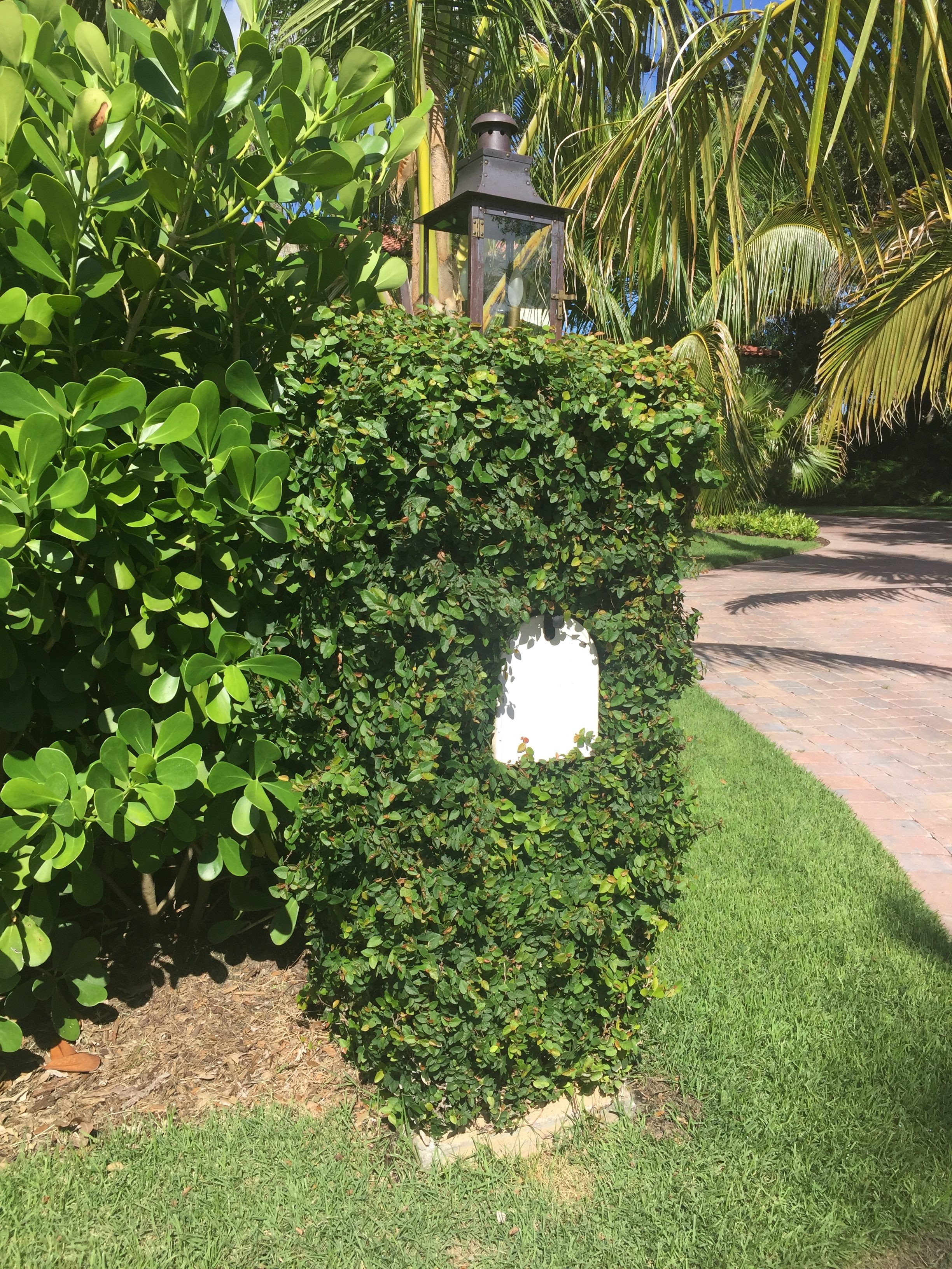 Leaf covered mail box