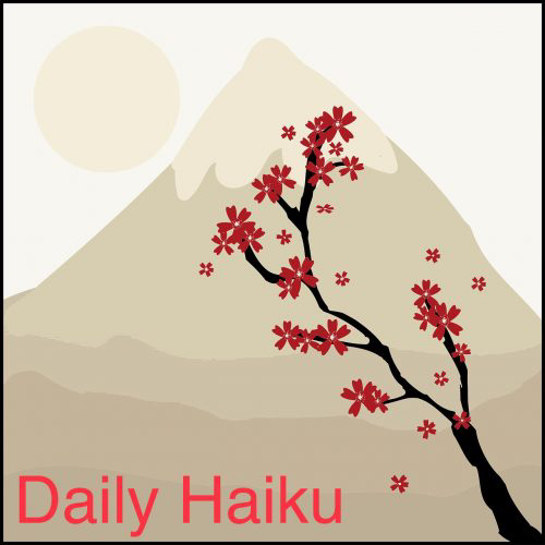 Daily Haiku
